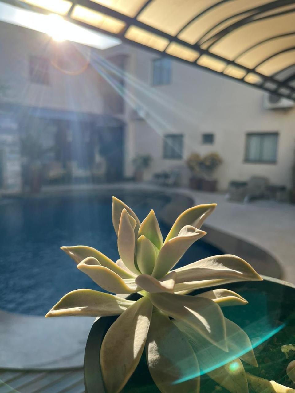 Maximus Business Hotel Ji-Parana Bagian luar foto