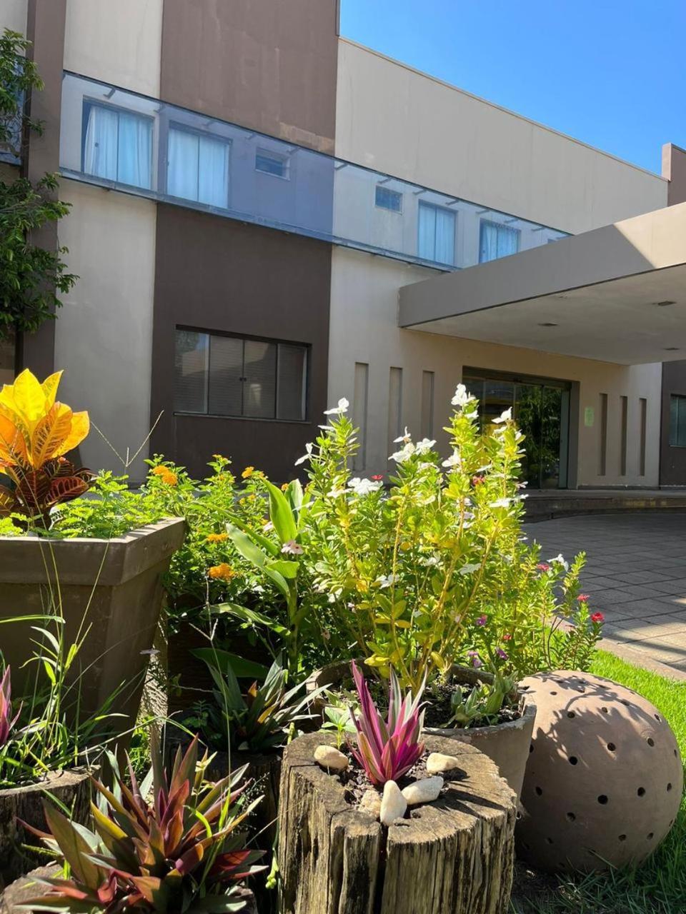 Maximus Business Hotel Ji-Parana Bagian luar foto